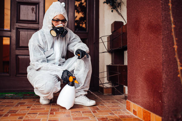 Reliable Cockroach Control contractor in Great Falls, SC by Nex Pest Control
